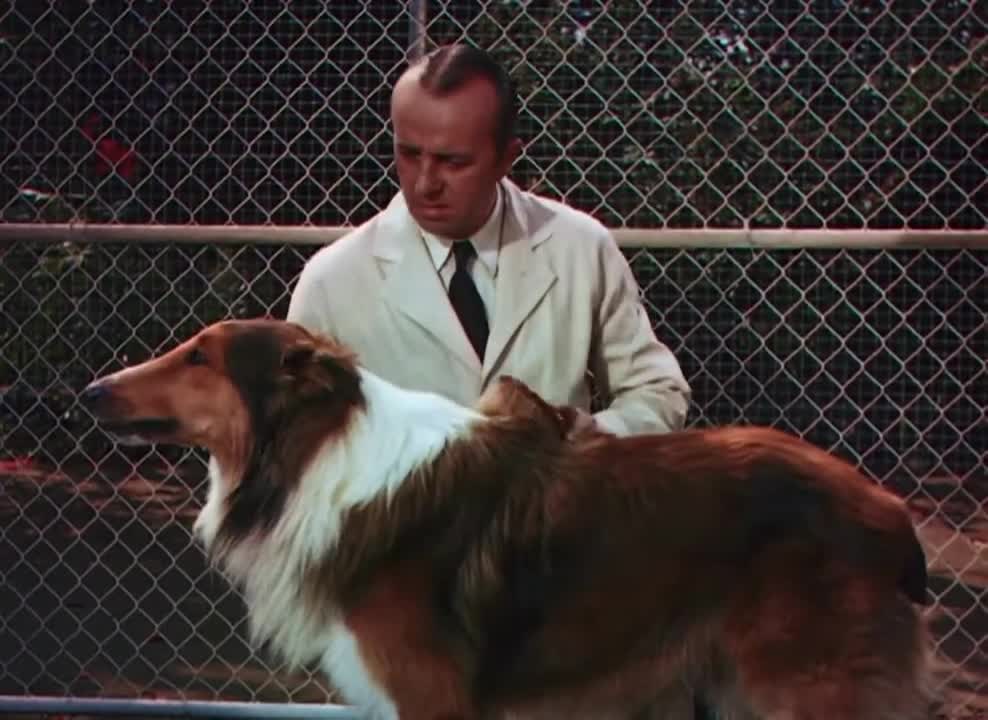 Lassie Come Home (1943)