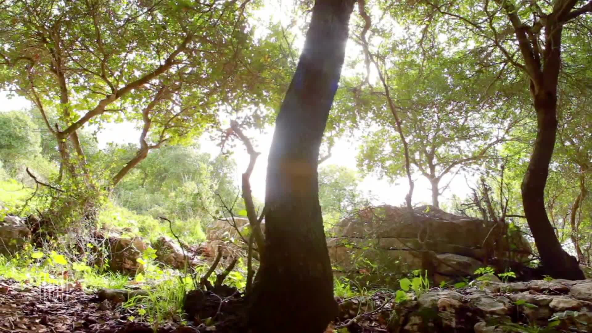 Thumbnail image for Spoken Word Because He Is Risen Easter