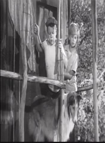 Thumbnail image for Lassie 3